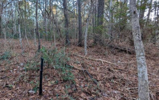 1981 Liberia Road Photo 4