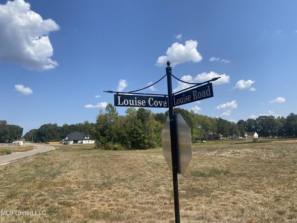 107 Louise Cove Road, Byhalia, MS 38611