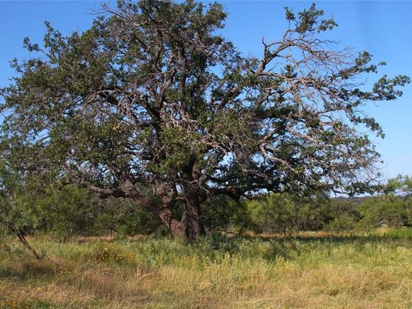 401 Fallow Spur , Melvin, TX 76858