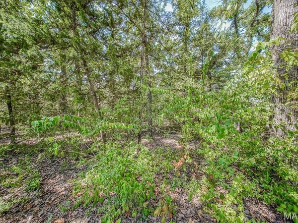 0 Faust Court, Rolla, MO 65401