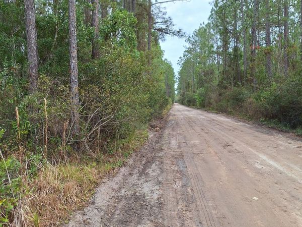 0 E SAN JOSE, Palatka, FL 32177