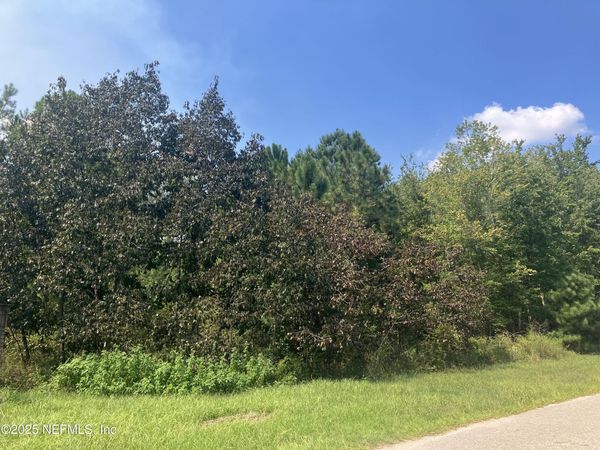 0 COUNTY RD 217, Middleburg, FL 32234