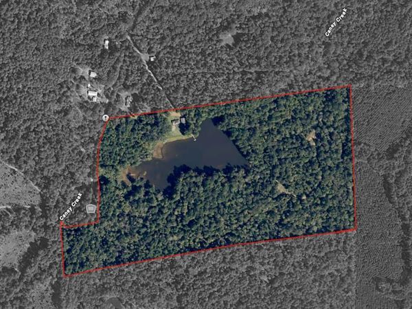 649 An County Road 1215, Grapeland, TX 75844