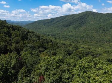 180 BEAR PATH LN, LYNDHURST, VA 22952