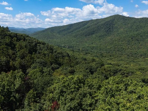 180 BEAR PATH LN, LYNDHURST, VA 22952