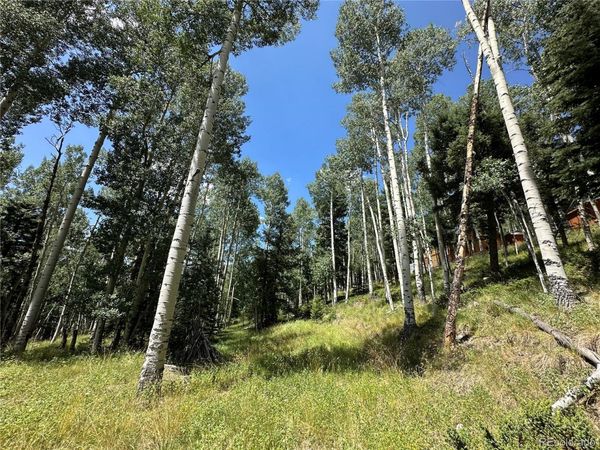 Lots 7-12 Calkins Street, Jasper, CO 81132