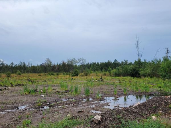 V/L 40AC Hamilton Road, Alpena, MI 49707