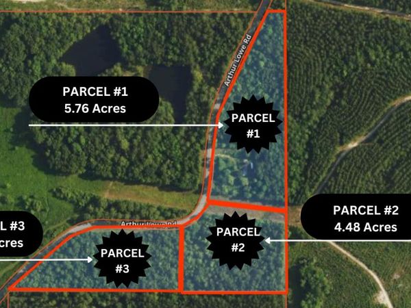 127 Arthur Lowe Rd-Parcel 3, Lumberton, MS 39455