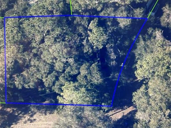 5230 BRAHORN ROAD, APOPKA, FL 32712