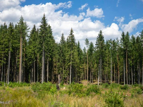 Bayou Cumbest Road, Moss Point, MS 39562