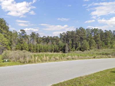 1319 Wood Sorrel Drive, Moncks Corner, SC 29461