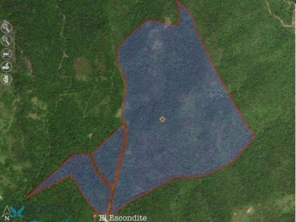 Km 3.1 SR 7722, Cayey, PR 00736