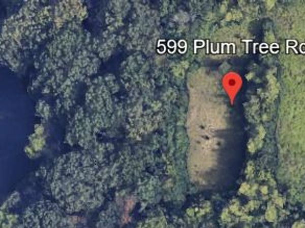 599 N Plum Tree Road, Barrington Hills, IL 60010