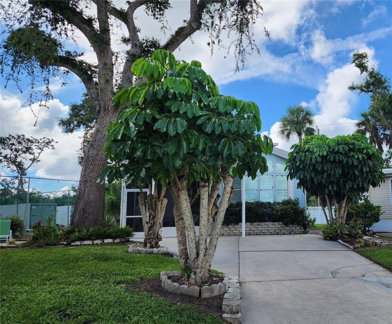 3333 26th Avenue E, Unit 4, Bradenton, FL 34208 Photo