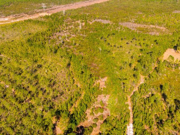 0000 Ne 125th Ave, Fort McCoy, FL 32134