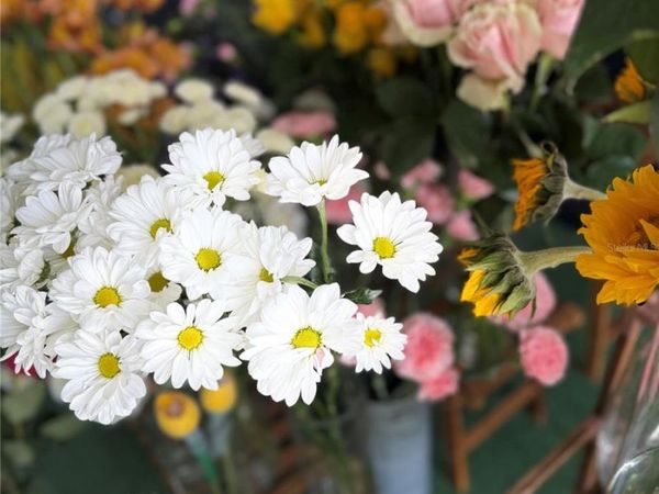 1150 DOUGLAS AVENUE, Unit 1090, ALTAMONTE SPRINGS, FL 32714