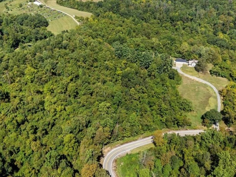 4595 State Route 530, Lowell, OH 45744 Photo 9