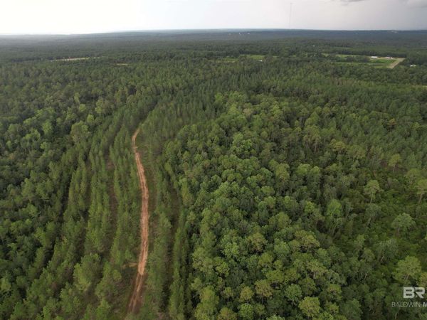 0 County Road 87, Robertsdale, AL 36567