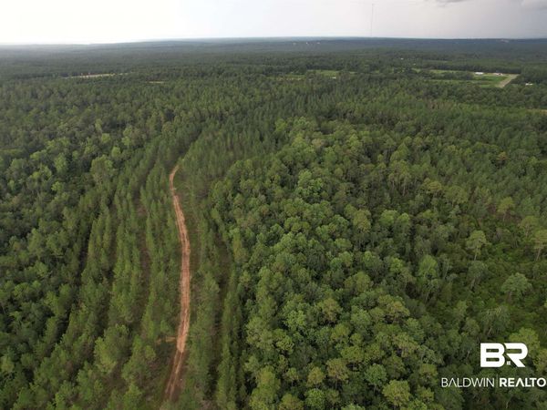 0 County Road 87, Robertsdale, AL 36567
