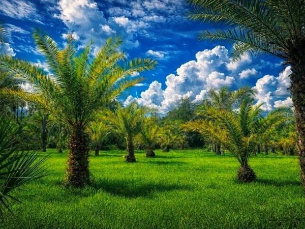 2615 GLENCOE FARMS ROAD, NEW SMYRNA BEACH, FL 32168