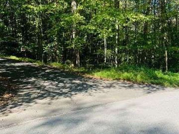 220 Maxwell Mountain Road, Blue Ridge, GA 30513