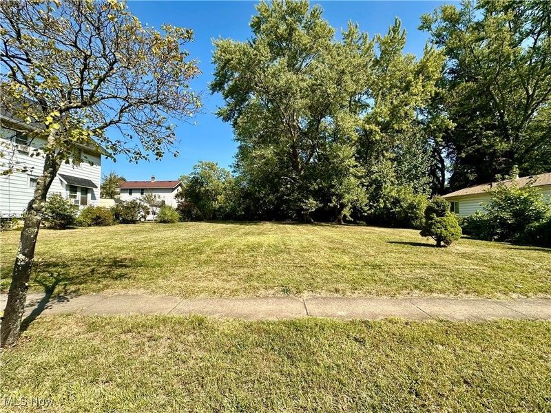 1191 Big Falls Avenue, Akron, OH 44310 Photo 1