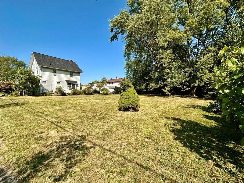 1191 Big Falls Avenue, Akron, OH 44310 Photo 3