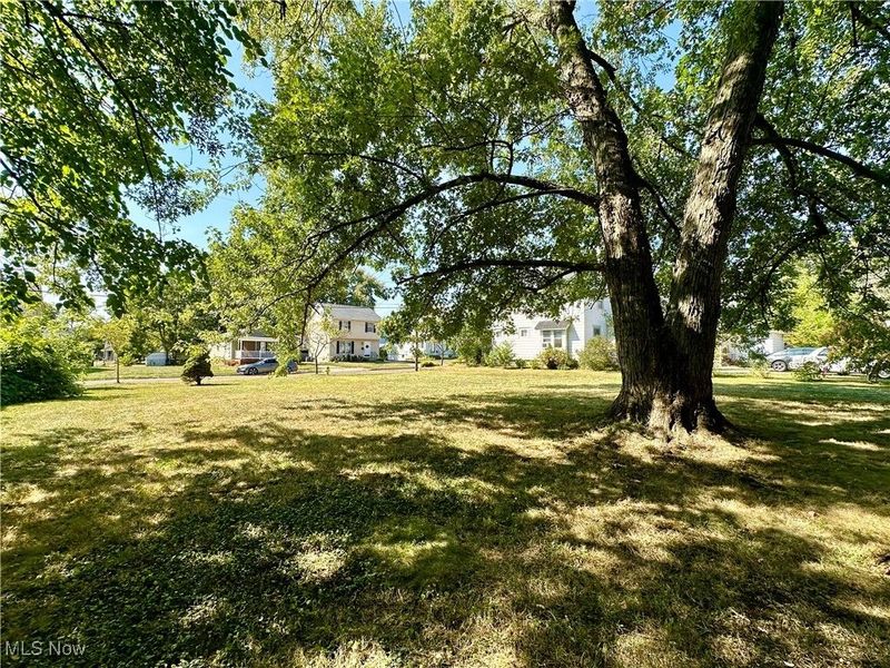 1191 Big Falls Avenue, Akron, OH 44310 Photo 4