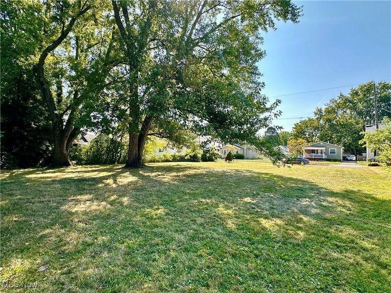 1191 Big Falls Avenue, Akron, OH 44310 Photo 5