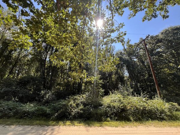 Central Drive, Grass Lake, MI 49240