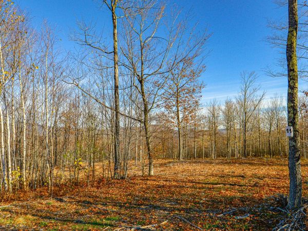 Lot 11 Mine Road, Stoneham, ME 04231