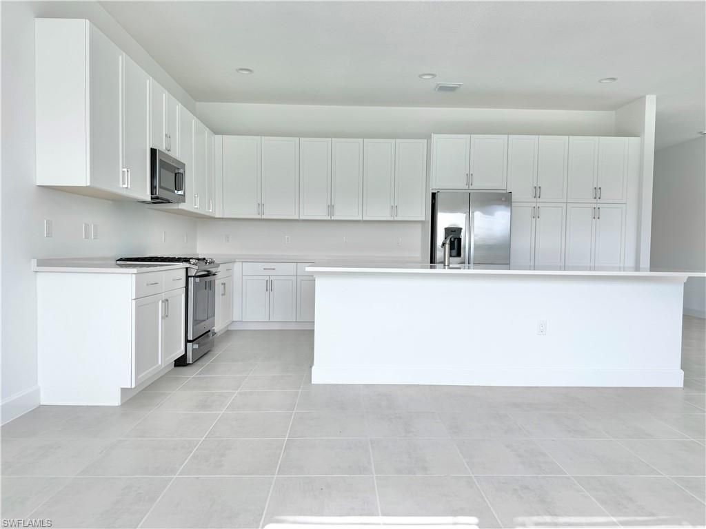 20885 Thistle Leaf Ln, Estero, FL 33928 Photo