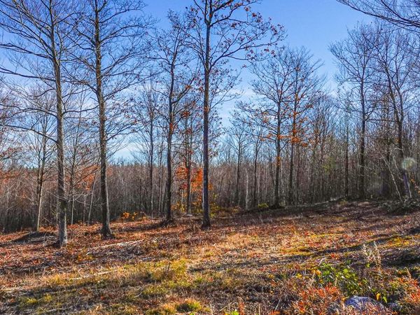 Lot 10 Mine Road, Stoneham, ME 04231