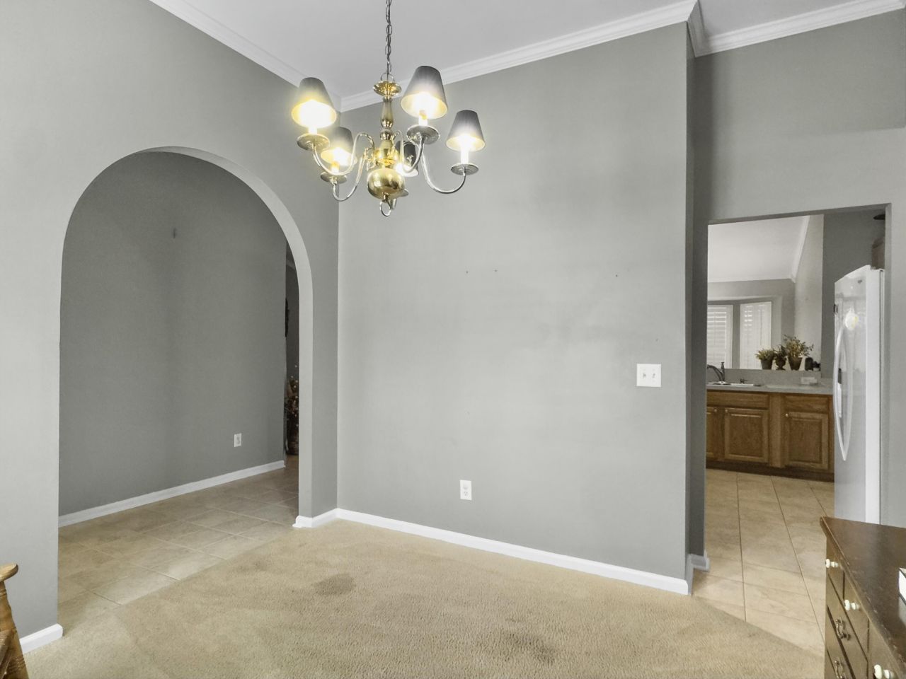 1239 Wild Olive Drive Photo 10