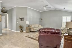 1239 Wild Olive Drive photo 4