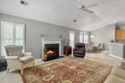 1239 Wild Olive Drive photo 4