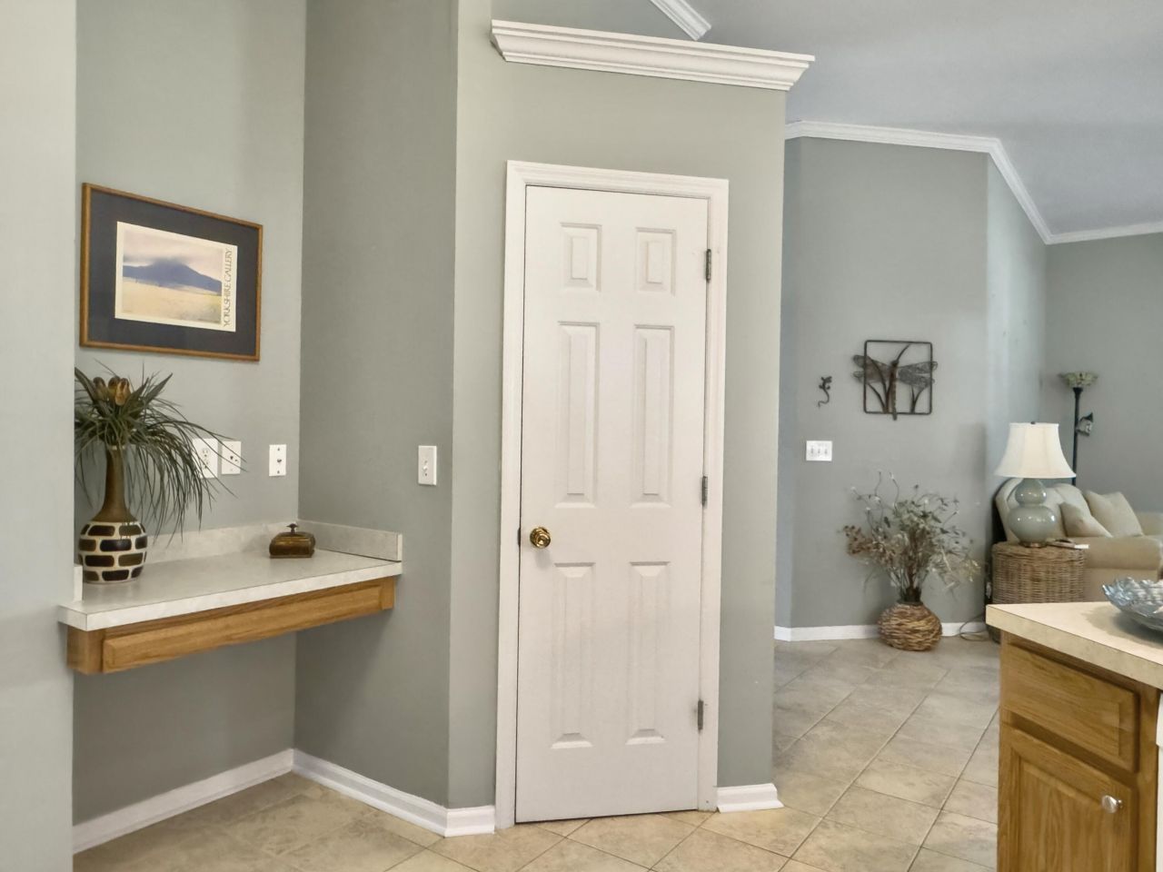 1239 Wild Olive Drive Photo 9