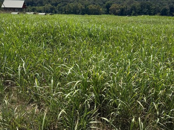 50 White River Run, Guion, AR 72540