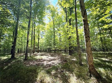 0 Cornell Hollow Road, Apalachin, NY 13732