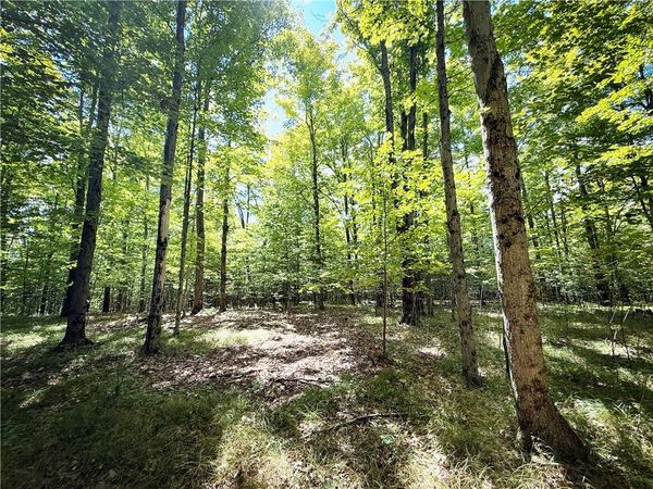 0 Cornell Hollow Road, Apalachin, NY 13732