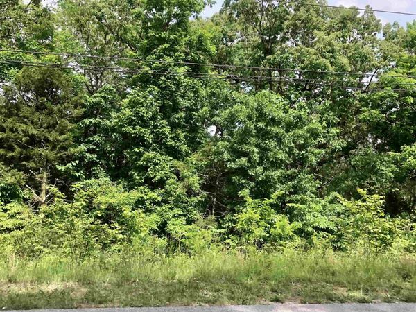 Lakeview Drive, Hardy, AR 72542