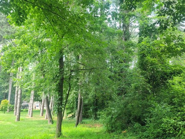 11348 Oakwood Drive, Jerome, MI 49249