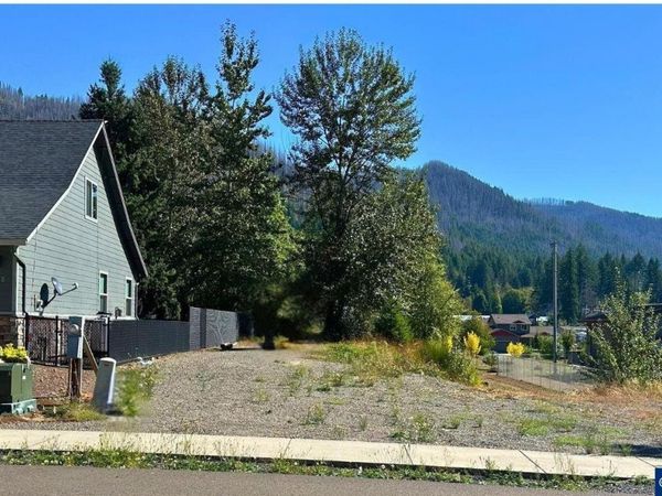 295 Janice Ct, Detroit, OR 97342