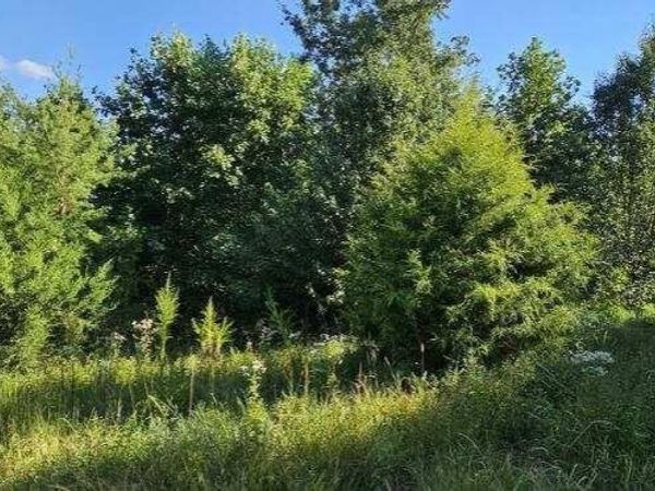 561 Bluff View Drive, Dunlap, TN 37327