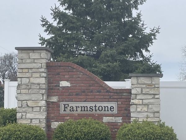 1170 Farmstone Drive, Diamond, IL 60416