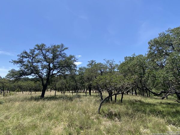 208 saddle wood, Comfort, TX 78013