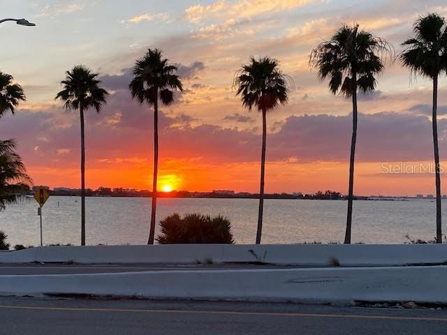 1726 Floyd Street, Sarasota, FL 34239 Photo