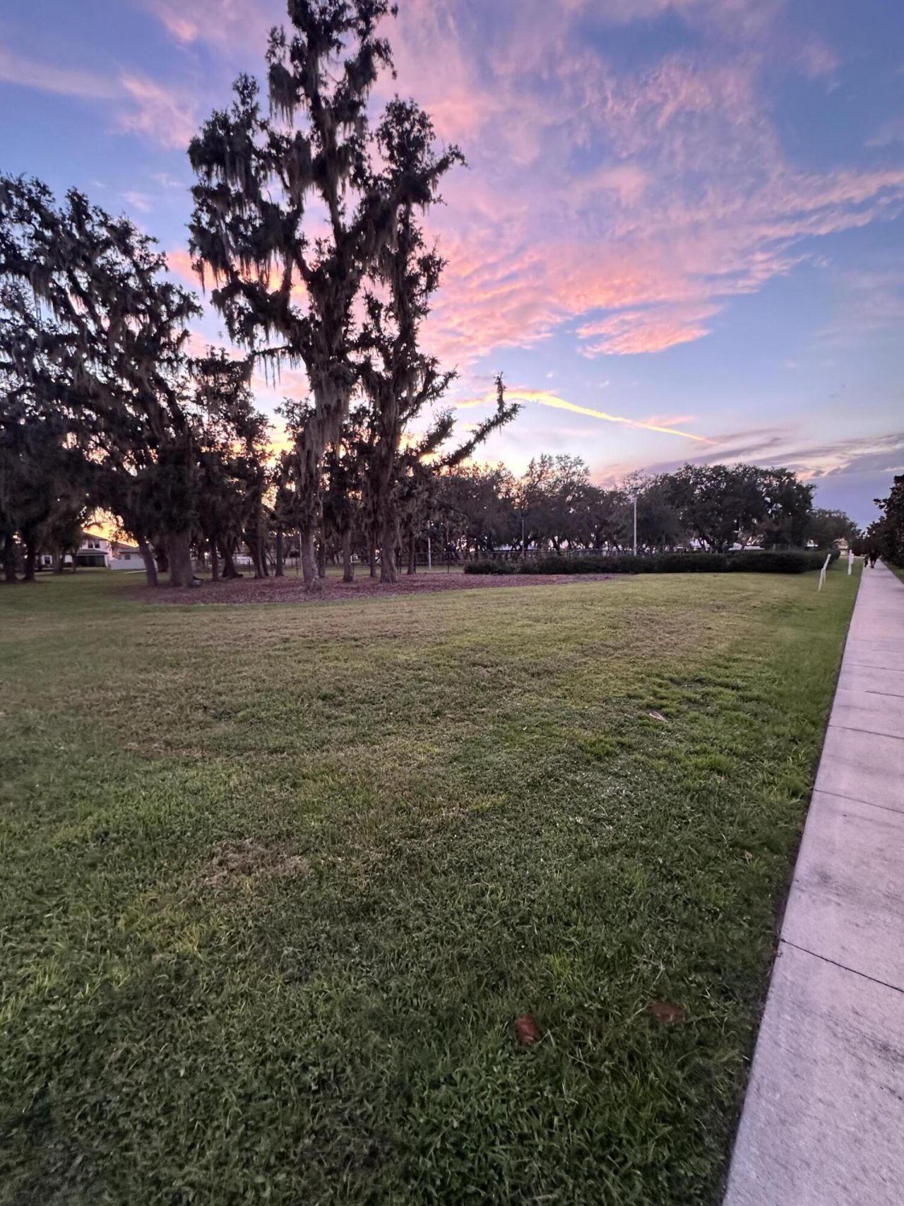 13106 Jeter Creek Drive, Riverview, FL 33579 Photo