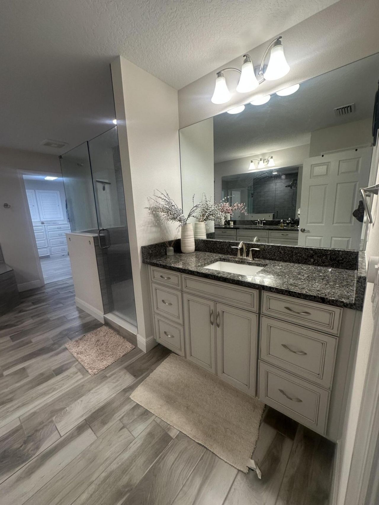 13106 Jeter Creek Drive, Riverview, FL 33579 Photo