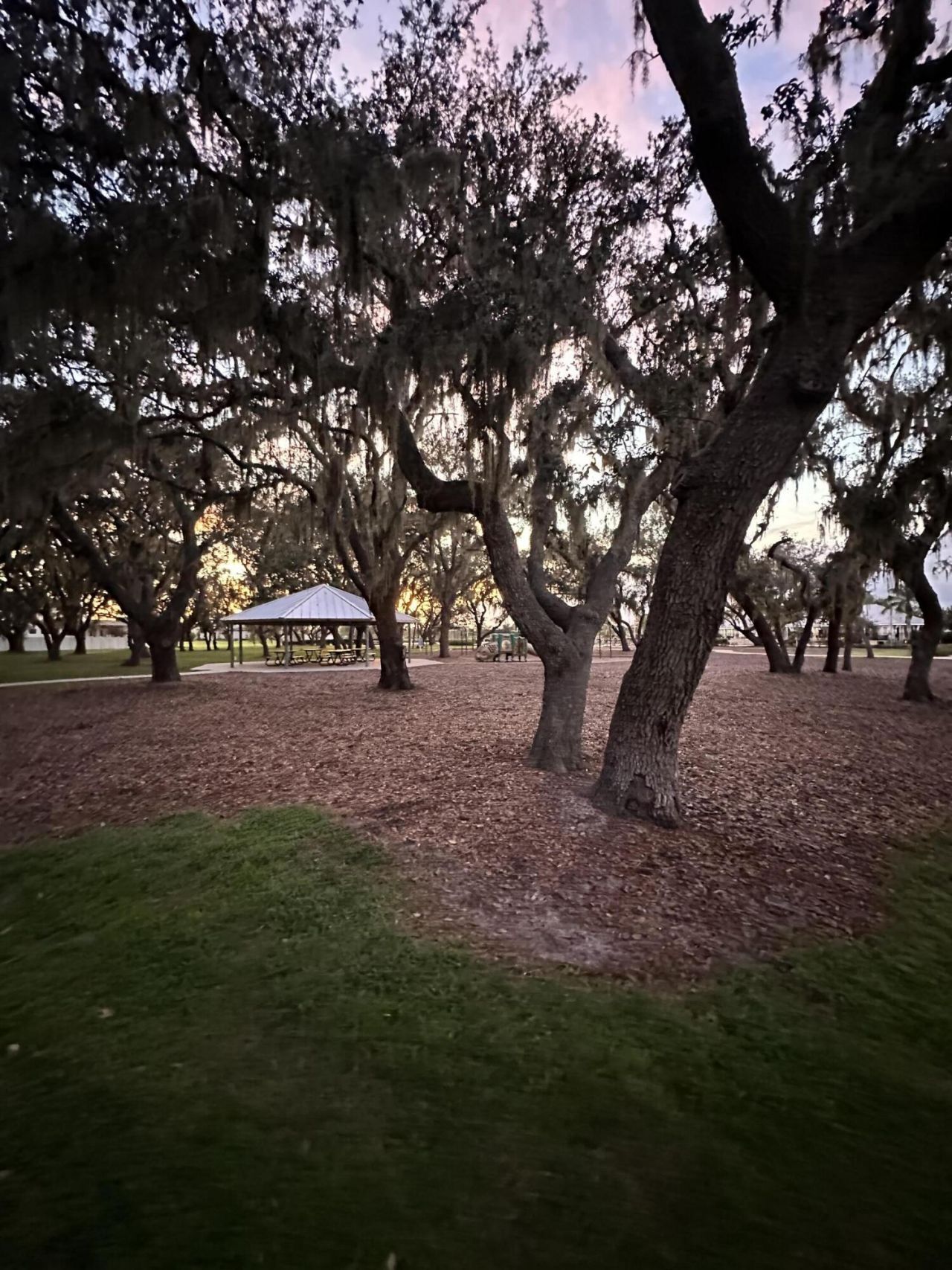 13106 Jeter Creek Drive, Riverview, FL 33579 Photo